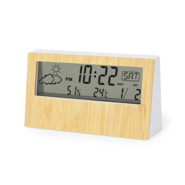 Roamer - Stazione Meteorologica